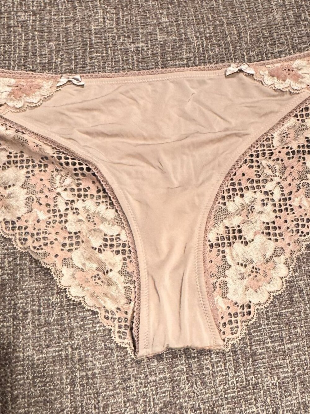 Adore Me Beatrice Cheeky Panty Size XL